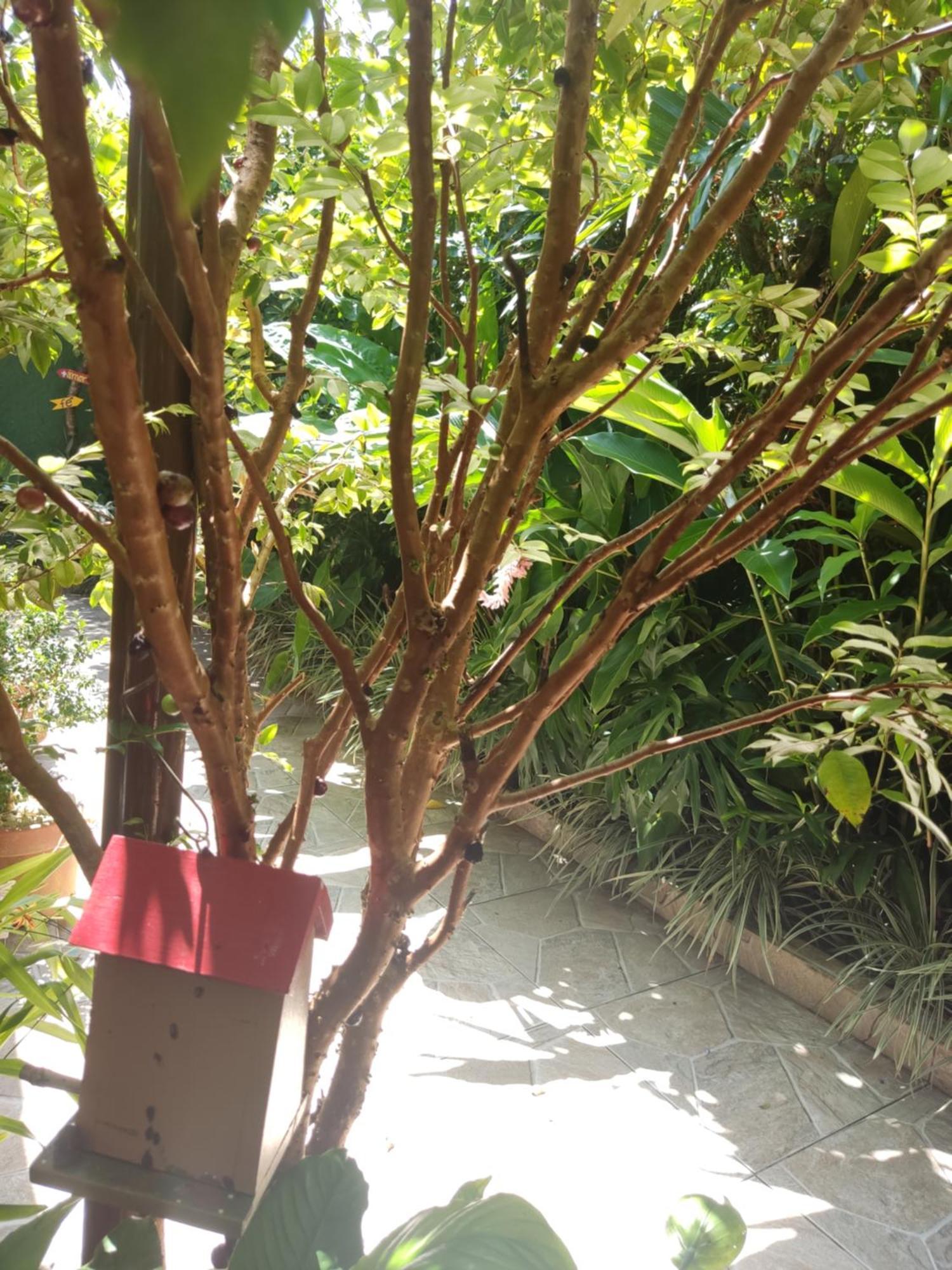 Recanto Toca Das Plantas De Ilhabela I 部屋 写真